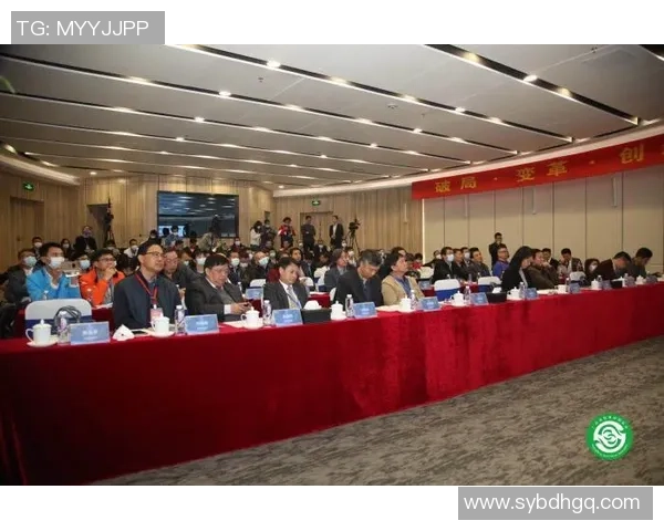 武汉篮球队团队协作新模式探讨与热议引发的变革之路